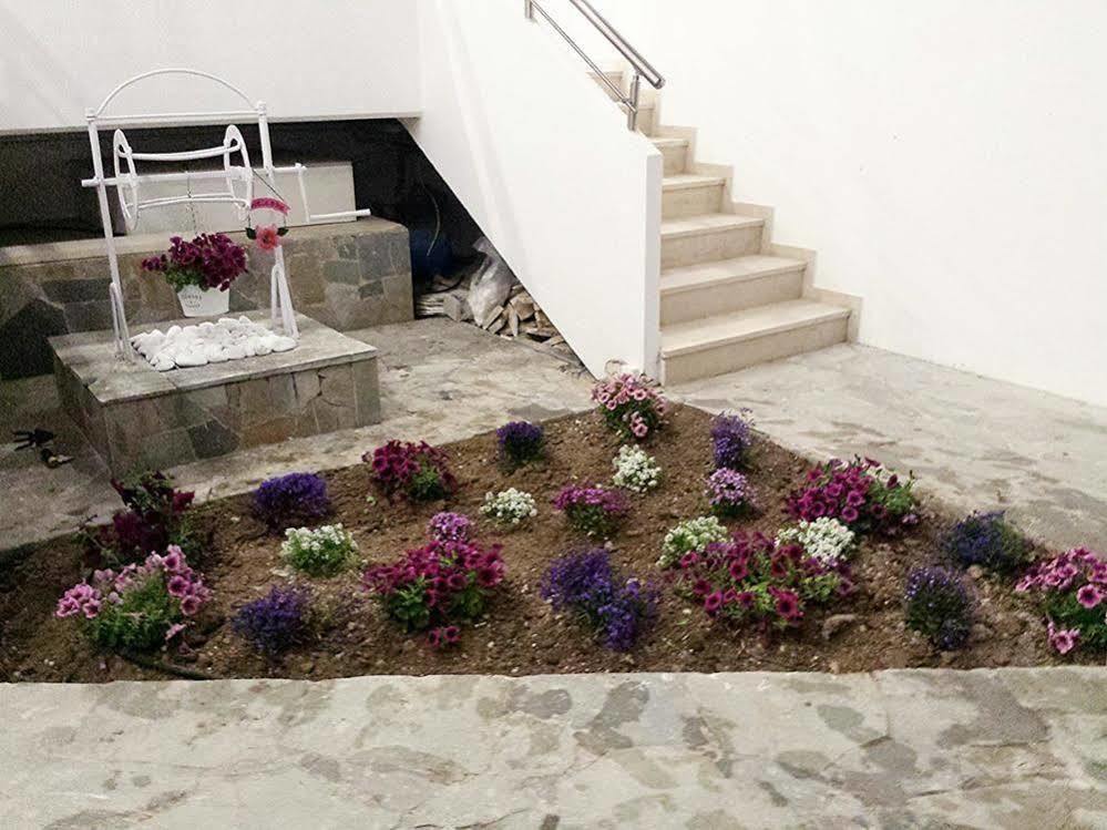 Crown Apartments كاليفيس المظهر الخارجي الصورة